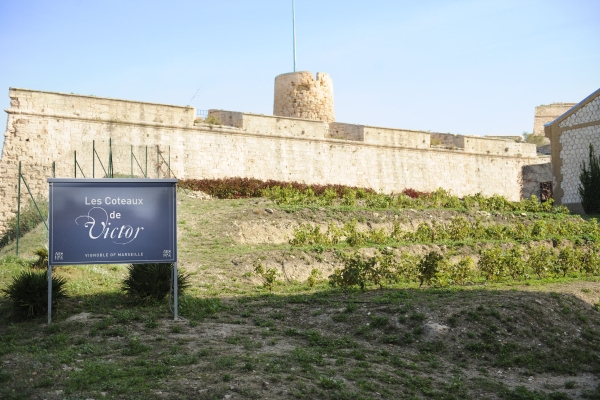 New Hotel of Marseille